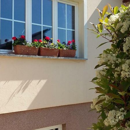 Apartments Place4You Б'єловар Екстер'єр фото